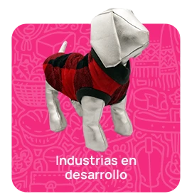 Industrias en desarrollo
